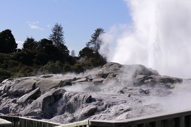 2-Day Hobbiton, Rotorua, Waitomo Caves Tour from Auckland with Accommodation - The transport and guide setup