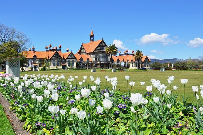 2 Day Tour Auckland to Hobbiton, Waitomo, Rotorua and Taupo - Waikato farmland sets the tone
