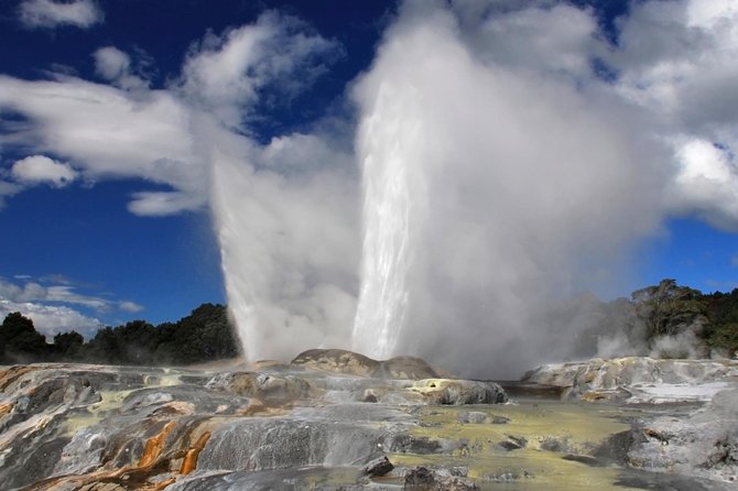 3-Day Hobbiton, Rotorua, Whakarewarewa, and Waitomo Tour - Who should book this North Island tour?
