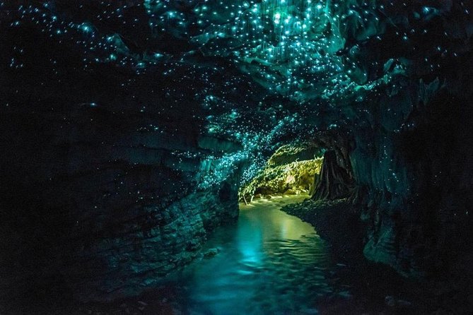 3-Day Hobbiton, Rotorua, Whakarewarewa, and Waitomo Tour - Day 1: Auckland to Hobbiton and Rotorua