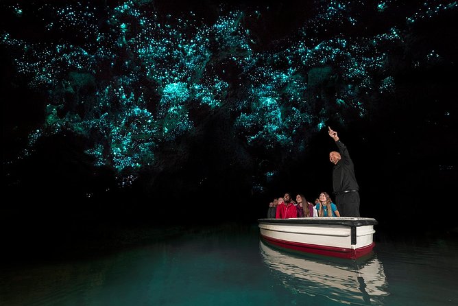 3 Day Waitomo Caves, Hobbiton Movie Set and Rotorua Tour from Auckland - Waimangu Volcanic Valley adds the eruption story