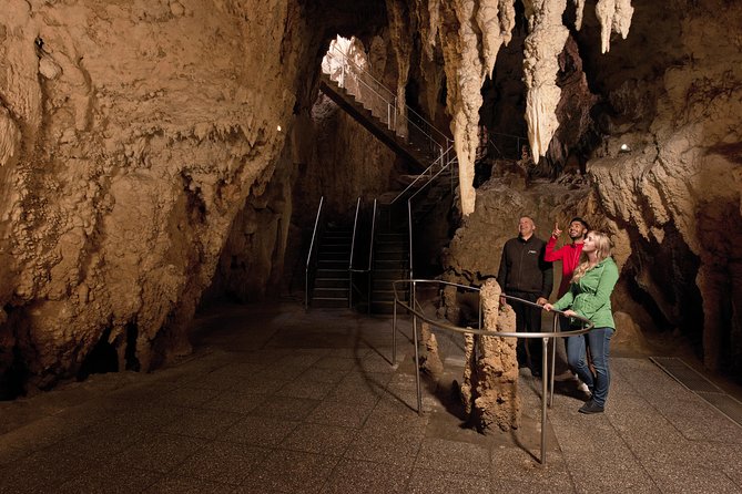 3 Day Waitomo Caves, Hobbiton Movie Set and Rotorua Tour from Auckland - The four-hour return to Auckland