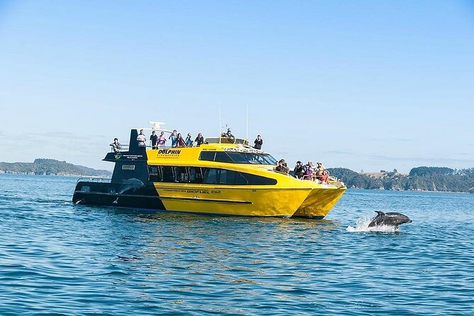 5-Day Bay of Islands, Auckland, Hobbiton, Rotorua & Waitomo Tour - Key points to know before booking