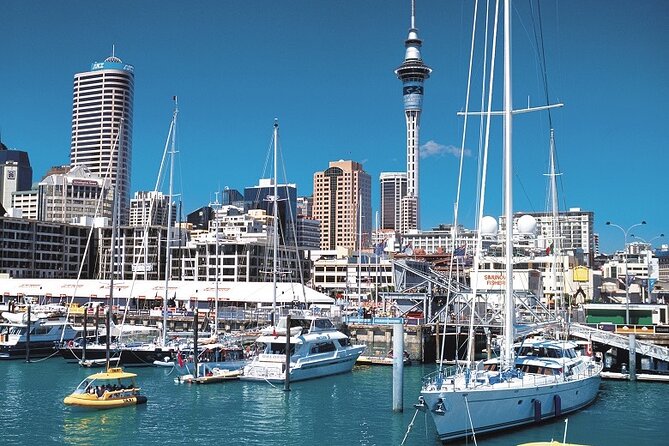 5-Day Bay of Islands, Auckland, Hobbiton, Rotorua & Waitomo Tour - Day 3: Auckland’s volcanic setting and open afternoon