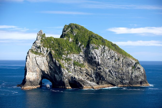 5-Day Bay of Islands, Auckland, Hobbiton, Rotorua & Waitomo Tour - Who will get the most from this five-day tour?