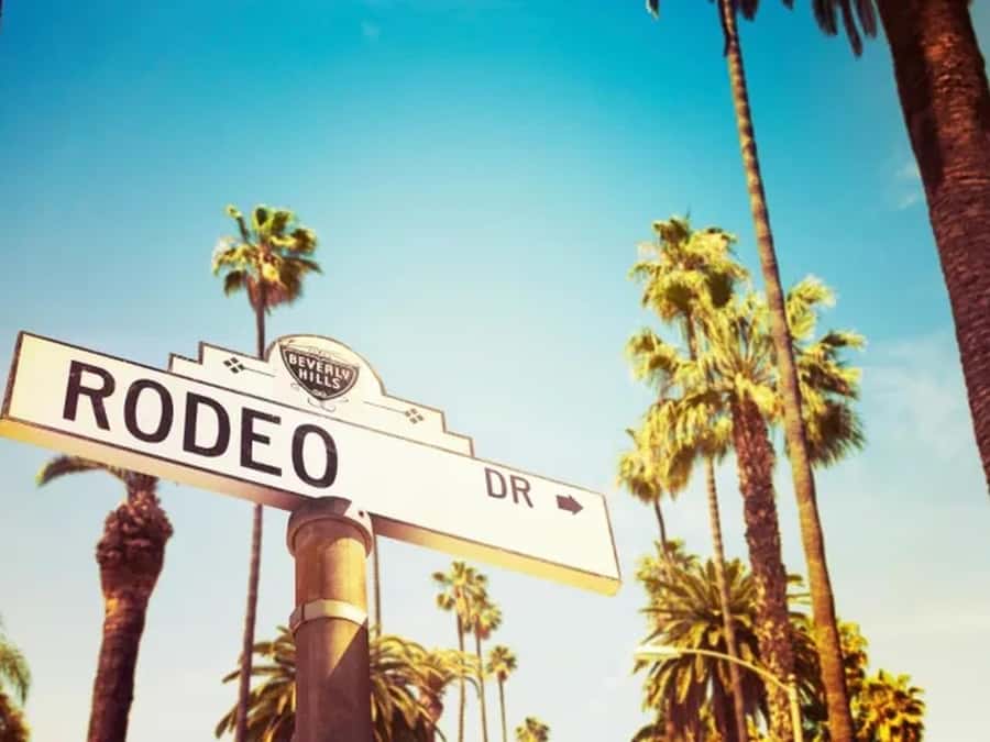 Anaheim: Hollywood Grand Tour with Hotel Pickup - The van, guide, and family details
