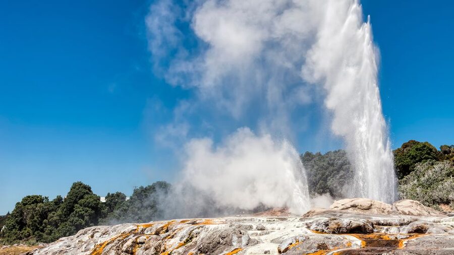 Auckland: Hobbiton and Rotorua Day Tour including Te Puia - Rotorua’s geothermal and historic sights