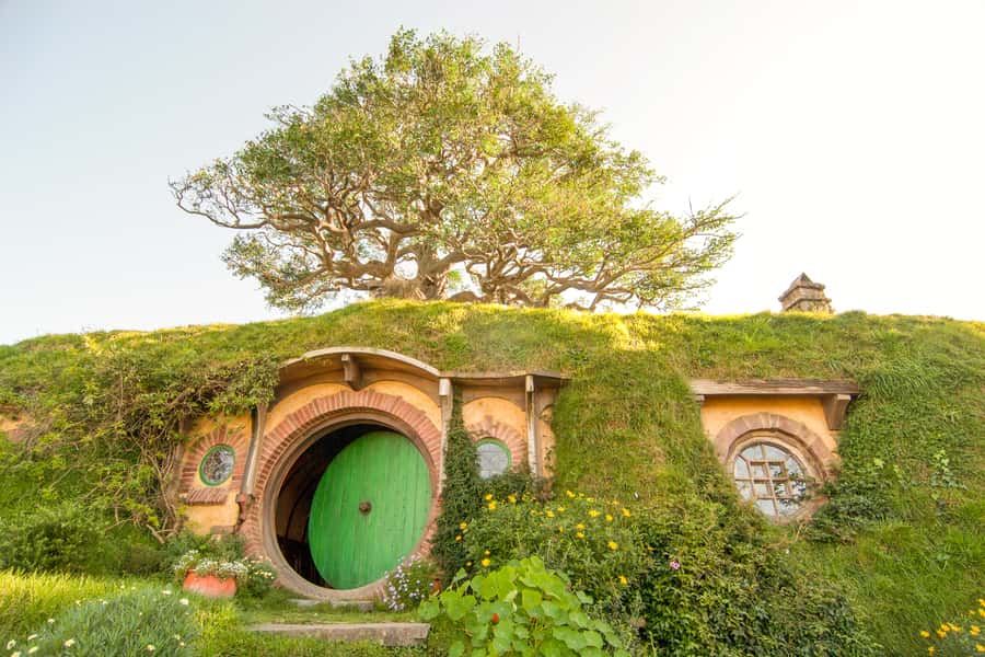 Auckland: Hobbiton Movie Set Tour with Lunch - What the $245 price really covers