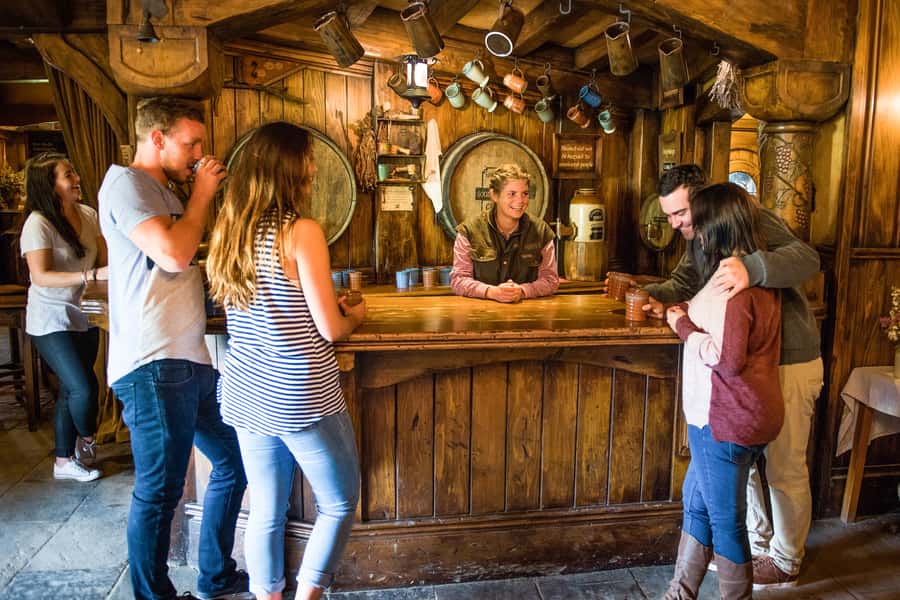 Auckland: Hobbiton Movie Set Tour with Lunch - Should you book this Hobbiton tour?