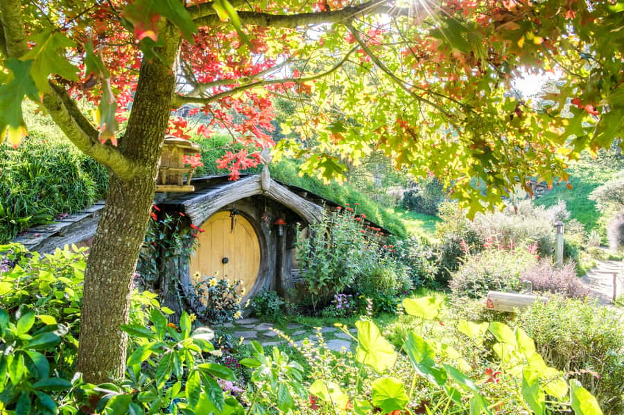 Auckland: Hobbiton Movie Set Tour with Lunch - Bag End, the Green Dragon, and the details worth noticing