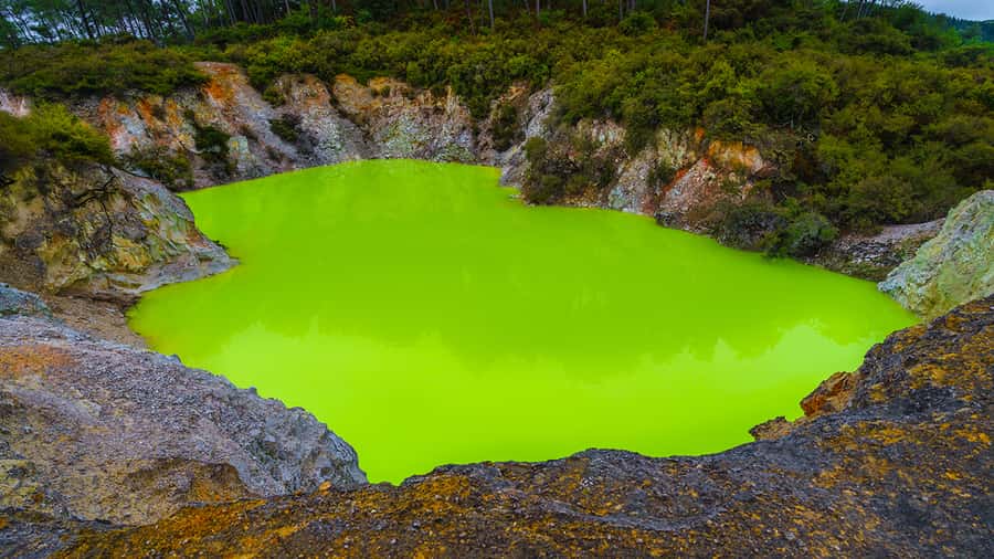Auckland: Hobbiton, Rotorua and Wai-O-Tapu Day Tour - Is the $256 price worth it?