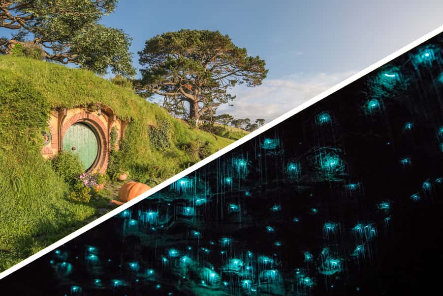 Auckland: Hobbiton, Waitomo Caves, and Rotorua 1-Way Tour - Meeting local animals near Big Bird