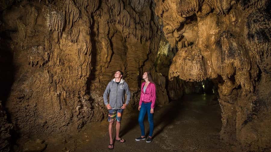 Auckland: Hobbiton, Waitomo Caves, and Rotorua 1-Way Tour - A short first look at Rotorua