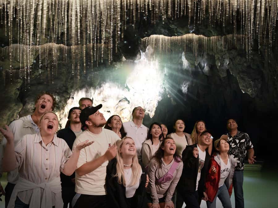 Auckland: Hobbiton & Waitomo Caves Small-Group Tour & Lunch - Guides make or break a long day