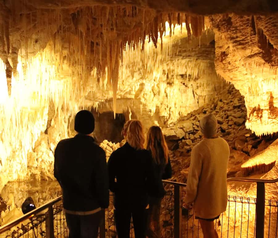 Auckland: Hobbiton & Waitomo Glow Worm Caves Private Tour - Who should book this experience?