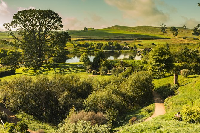 Auckland to Hobbiton Movie Set Private Tour - What the private vehicle adds