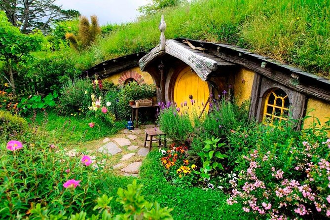 Auckland to Hobbiton Movie Set Private Tour - Who should book this Auckland day trip?
