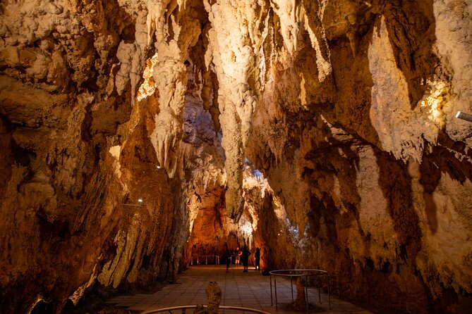 Auckland to Rotorua, Hobbiton and Waitomo 1 Way Small Group Tour - The road to Rotorua through Tirau