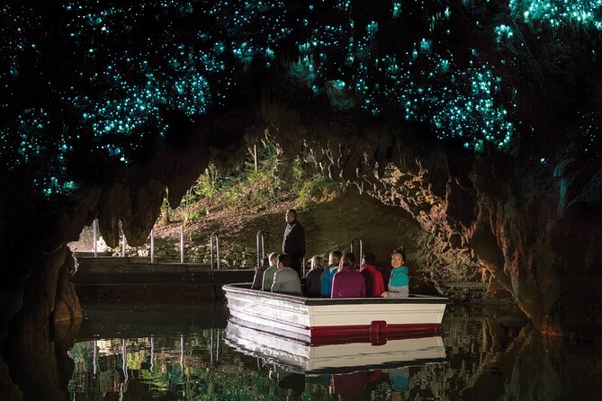 Auckland to Rotorua, Hobbiton and Waitomo 1 Way Small Group Tour - What the $266.23 price really covers