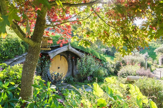 Auckland to Rotorua via Hobbiton Movie Set Tour - One Way - The NZ$10 shopping voucher