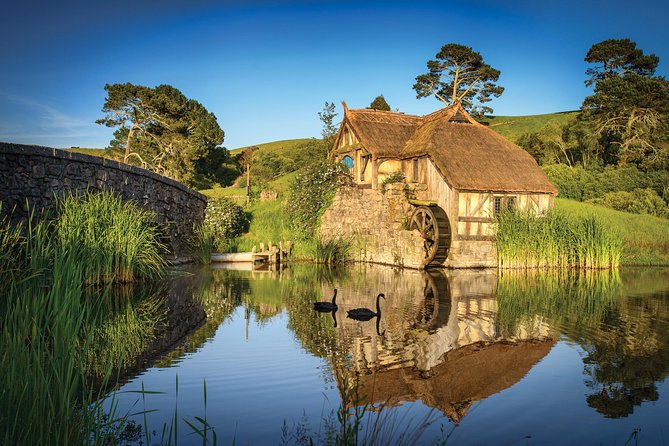 Auckland to Rotorua via Hobbiton Movie Set Tour - One Way - What the $307.18 price really buys