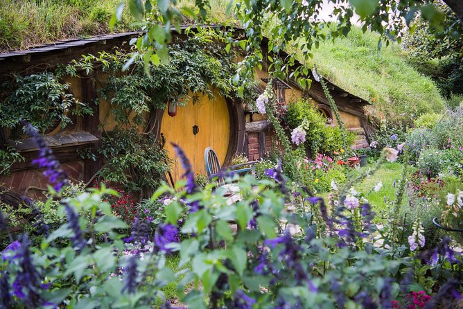 Auckland to Rotorua via Hobbiton Small Group Tour (One Way) - The guides shape the day
