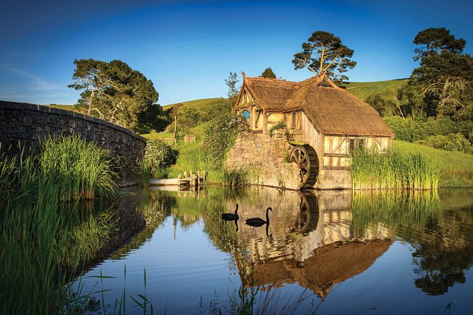 Auckland to Waitomo Caves and Hobbiton Movie Set Private Tour - The 8:00 am pickup from Auckland
