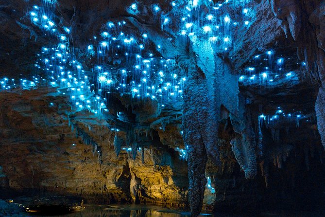 Auckland to Waitomo Caves and Hobbiton Movie Set Private Tour - Entering the Waitomo Glowworm Caves