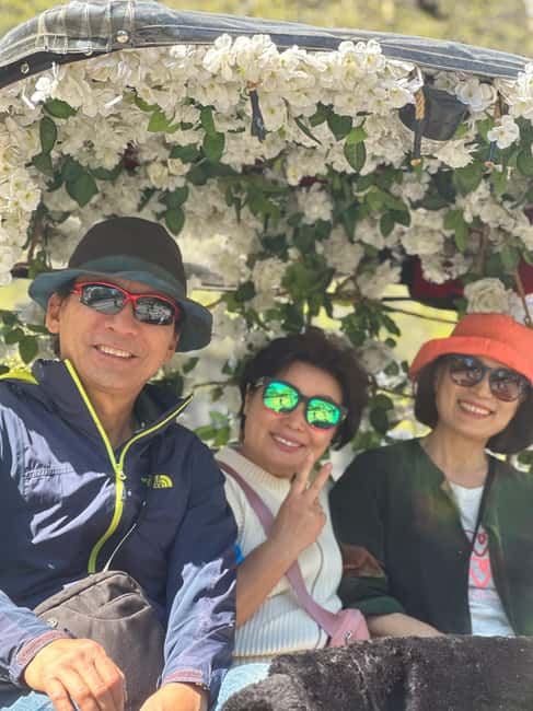 Central Park: Guided 1.5-hour Movie & Celebrity Pedicab Tour - Is $120 good value for 90 minutes?