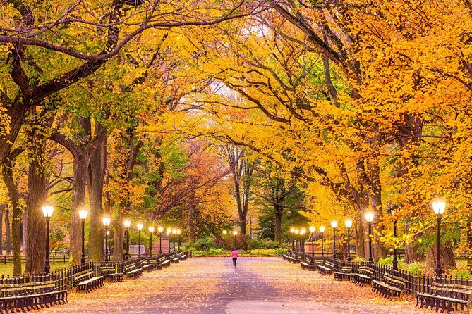 Central Park TV and Movie Sites Walking Tour - Why Central Park Works So Well on Screen