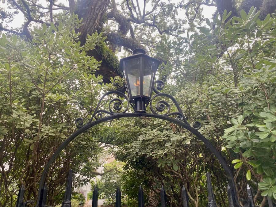 Charleston: Outer Banks Film Locations Tour - Timing, cancellation, and what to bring