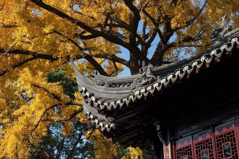 China Hollywood and Yiwu-the offline Temu commercial heaven - Qin Palace shows how history becomes cinema