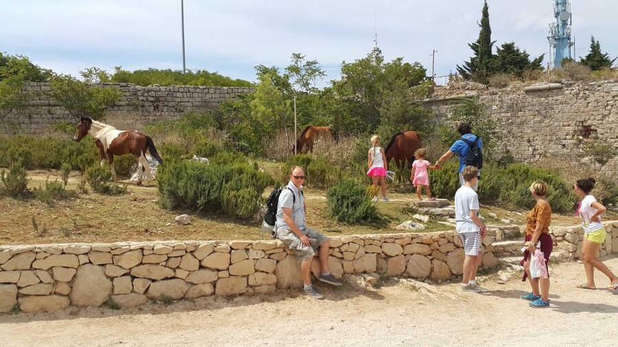 Dubrovnik: Game of Thrones Locations Driving Tour - Starting at Pile Gate or Port Gruž