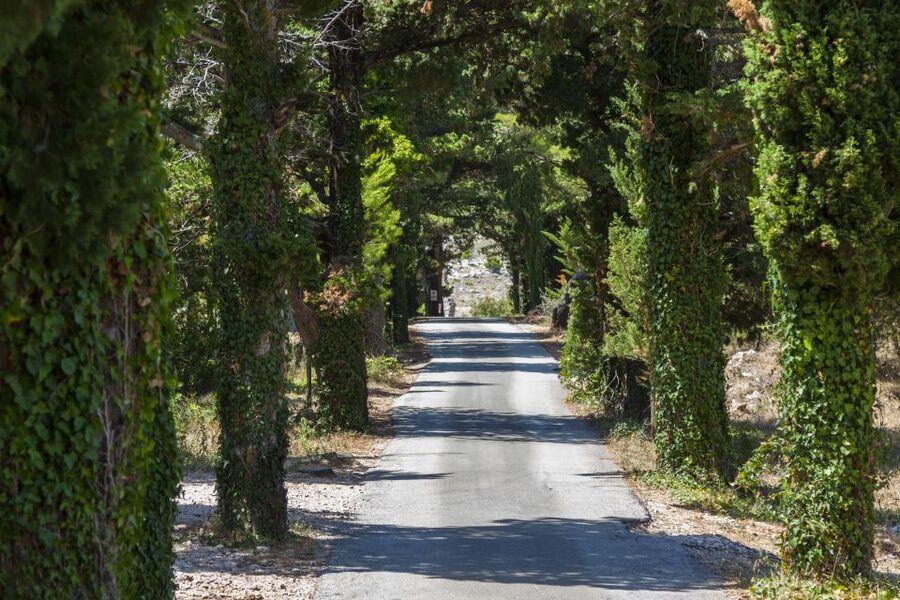 Dubrovnik: Game of Thrones Locations Driving Tour - Trsteno Arboretum and the royal gardens