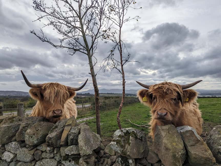Edinburgh: Harry Potter, Glenfinnan & Highlands Private Tour - Key points to know before booking