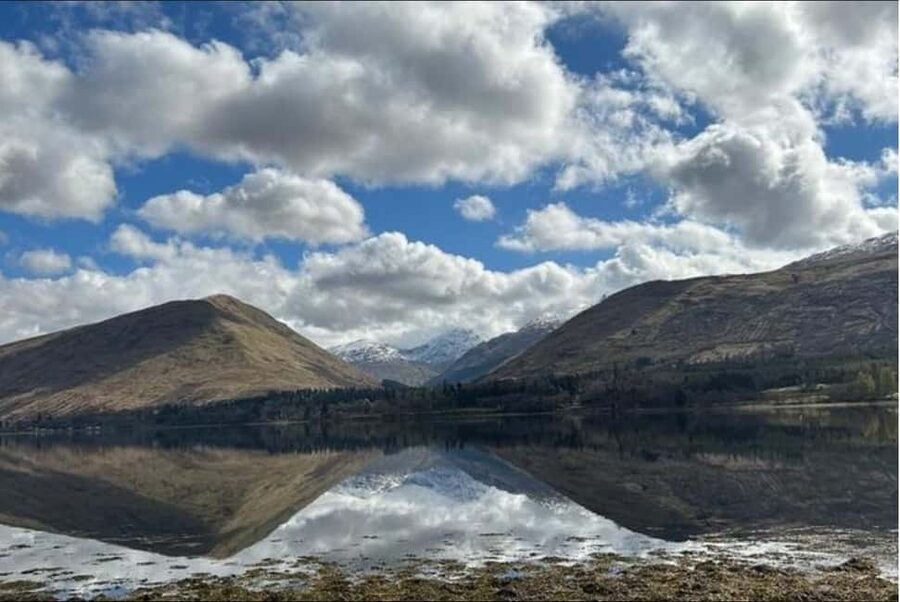 Edinburgh: Harry Potter, Glenfinnan & Highlands Private Tour - Feeding Highland Coos ends the day on a lighter note