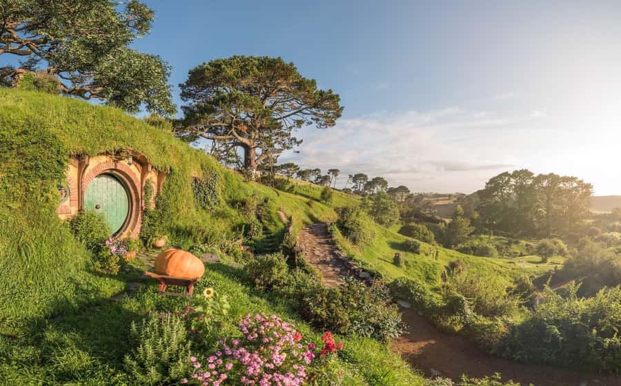 Ex Auckland: Hobbiton & Rotorua Māori Village w Hangi Lunch - Auckland to Rotorua, three hours on the road