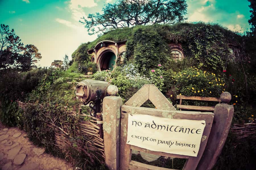 From Auckland: Hobbiton Afternoon Tour - Key points to know before booking