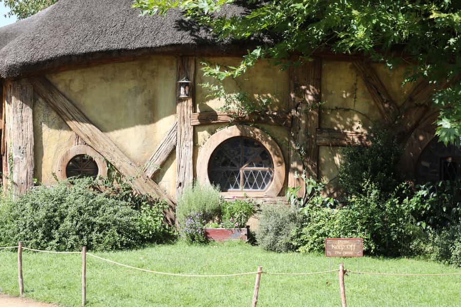 From Auckland: Hobbiton Afternoon Tour - Why the late departure works so well