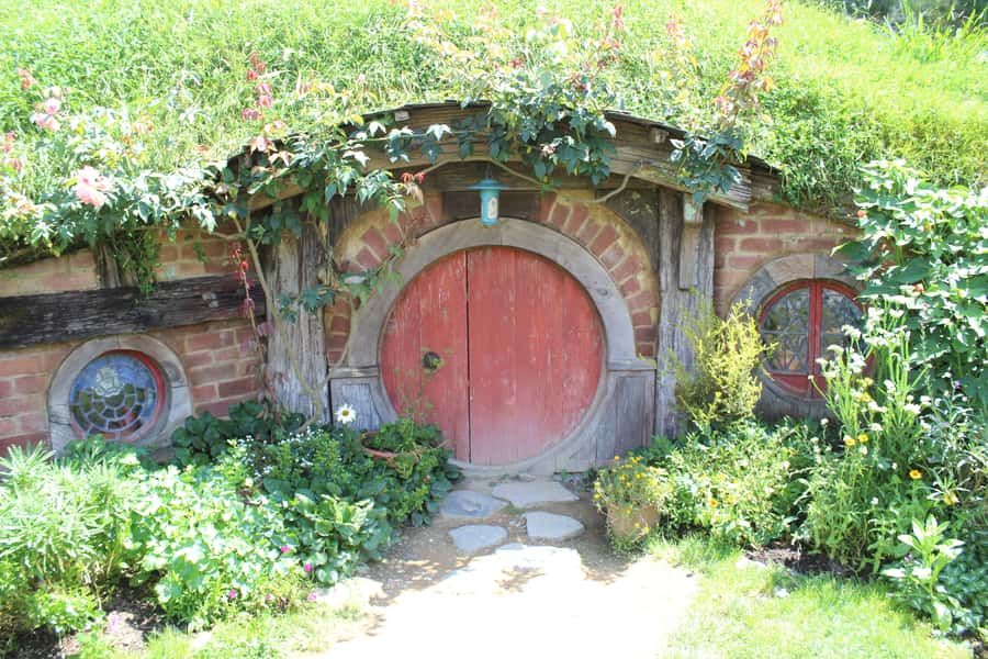 From Auckland: Hobbiton Afternoon Tour - Walking through the Hobbiton Movie Set