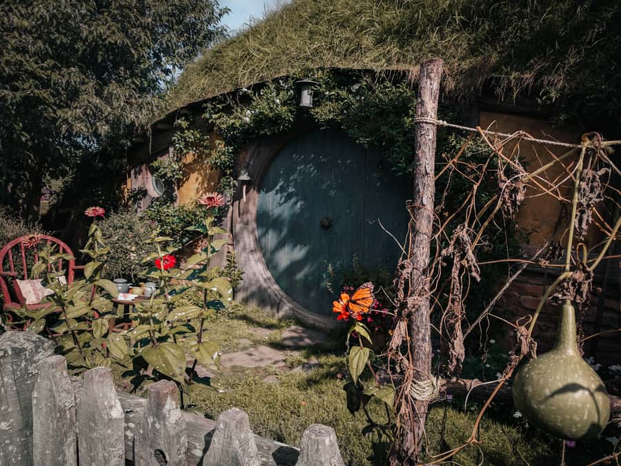 From Auckland: Hobbiton Afternoon Tour - Riding through Waikato in a small Mercedes minibus