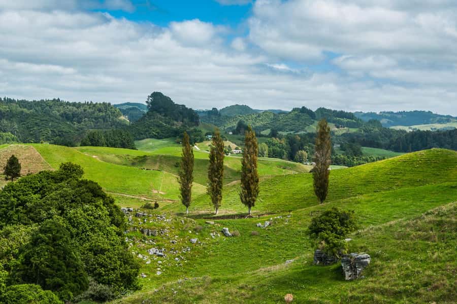 From Auckland: Hobbiton and Waitomo Day Tour with Lunch - Arriving at Hobbiton in the Waikato
