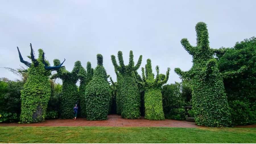 From Auckland: Hobbiton & Hamilton Gardens Small Group Tour - Reaching Hobbiton and Shire’s Rest