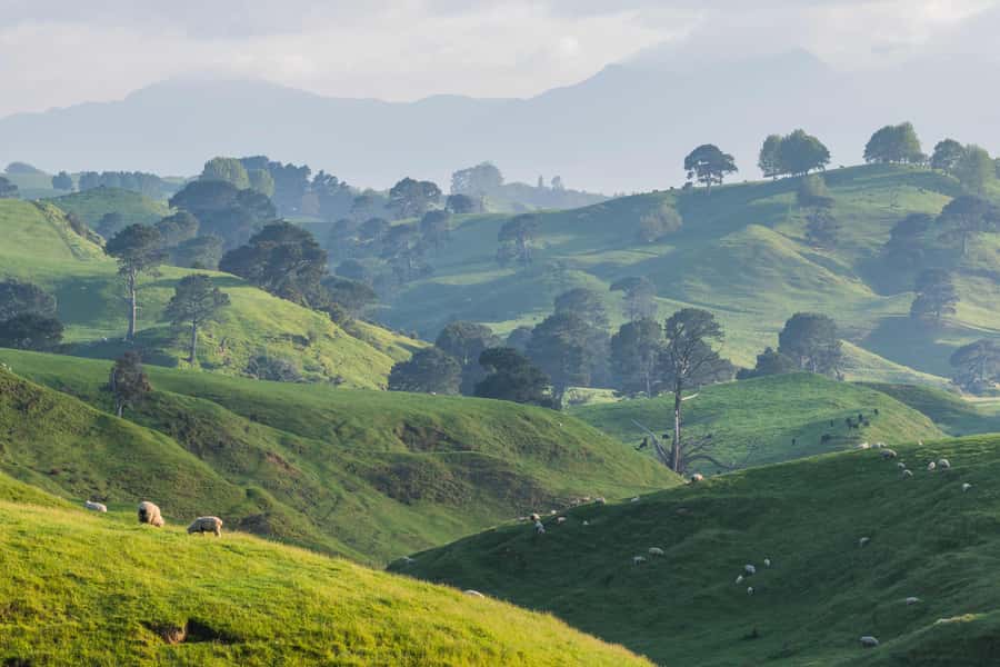 From Auckland: Hobbiton Movie Set Day Tour with Picnic Lunch - Weather, clothing, and walking comfort