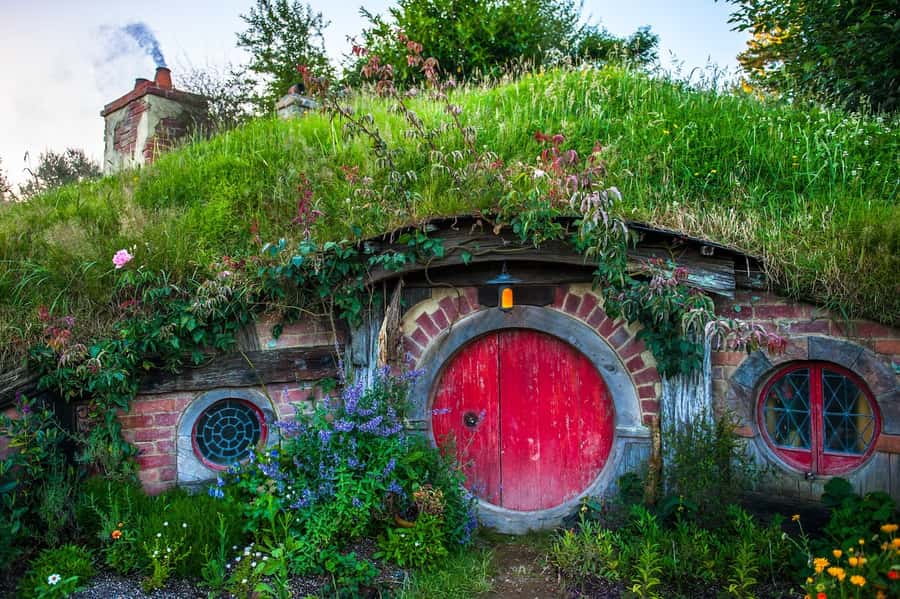 From Auckland: Hobbiton Movie Set Full-Day Small-Group Trip - Practical details for a smoother day