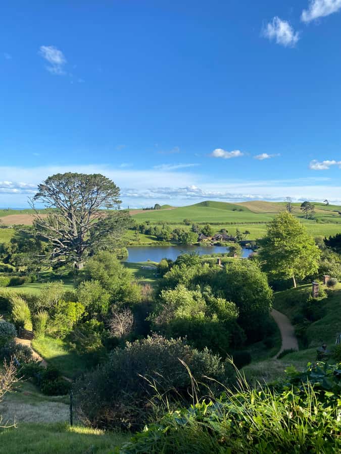 From Auckland: Hobbiton Movie Set - Private Tour - Who should book this day trip?