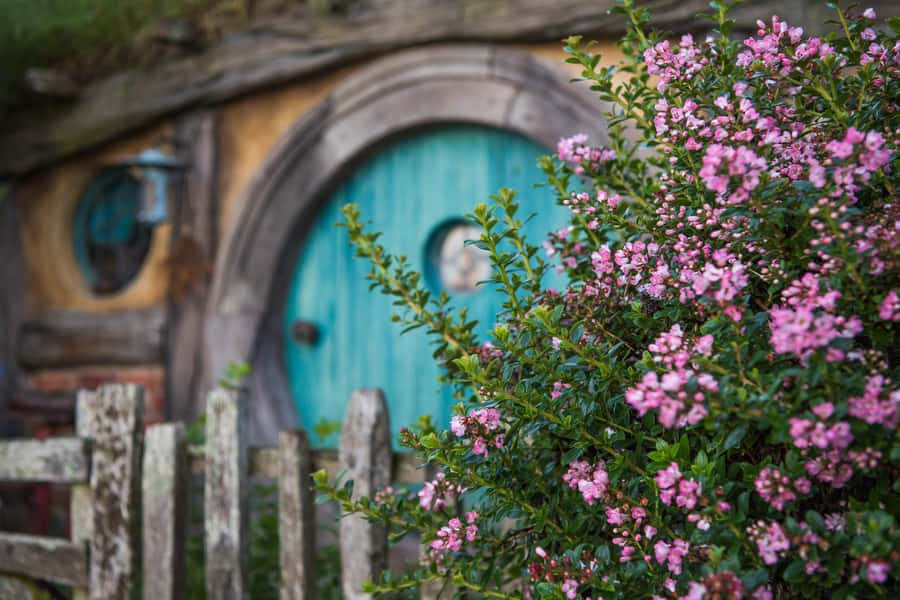 From Auckland: Hobbiton Movie Set Trip with Guided Tour - Practical advice for making the day easier