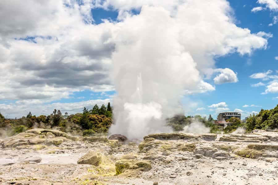 From Auckland: Hobbiton & Rotorua Tour with Lunch at Te Puia - Should you book the Hobbiton and Rotorua tour?