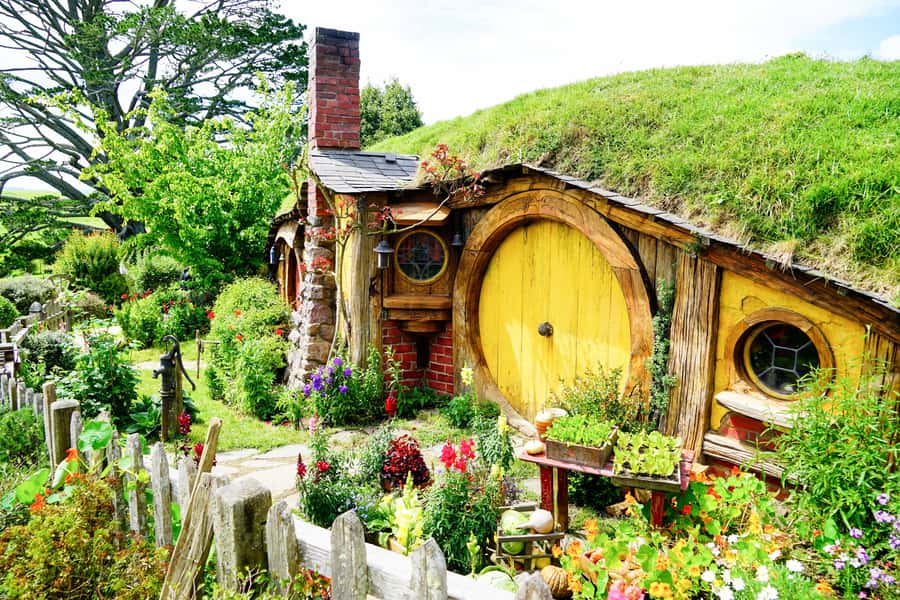 From Auckland: Hobbiton & Rotorua Tour with Lunch at Te Puia - Te Puia and the geothermal valley