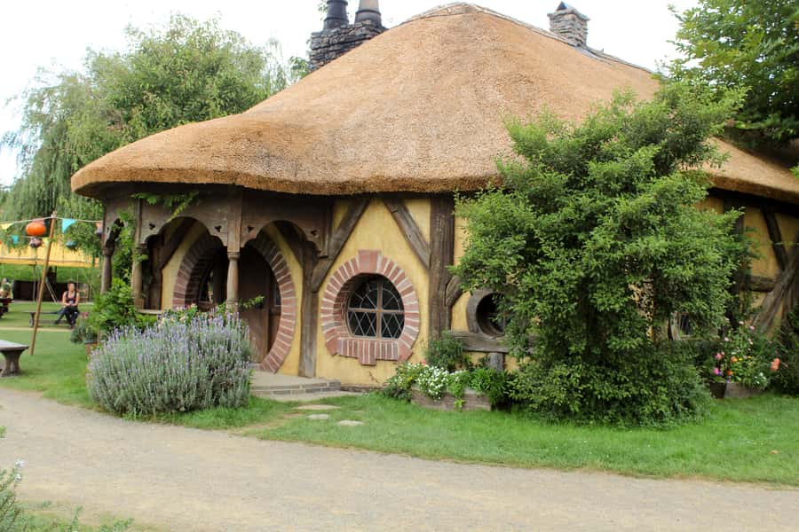 From Auckland: Hobbiton & Rotorua Tour with Lunch at Te Puia - A buffet lunch with a geothermal view